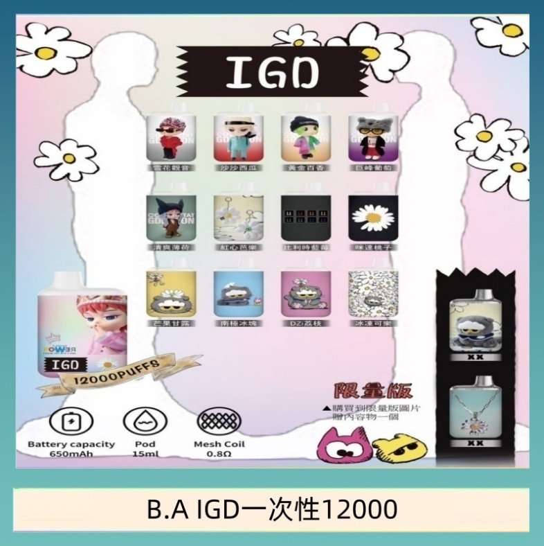 B.A IGD12000口 電子煙