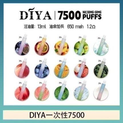 DIYA一代主機皮革系列通用1代電子煙