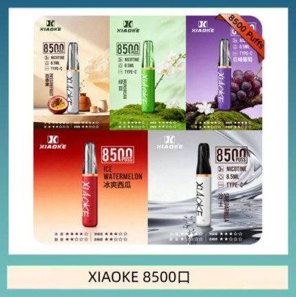梟客XIAOKE一次性電子菸拋棄式8500口
