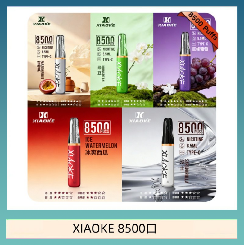 梟客XIAOKE一次性電子菸拋棄式8500口