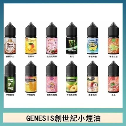 GENESIS創世紀電子煙小煙主機煙油30ml